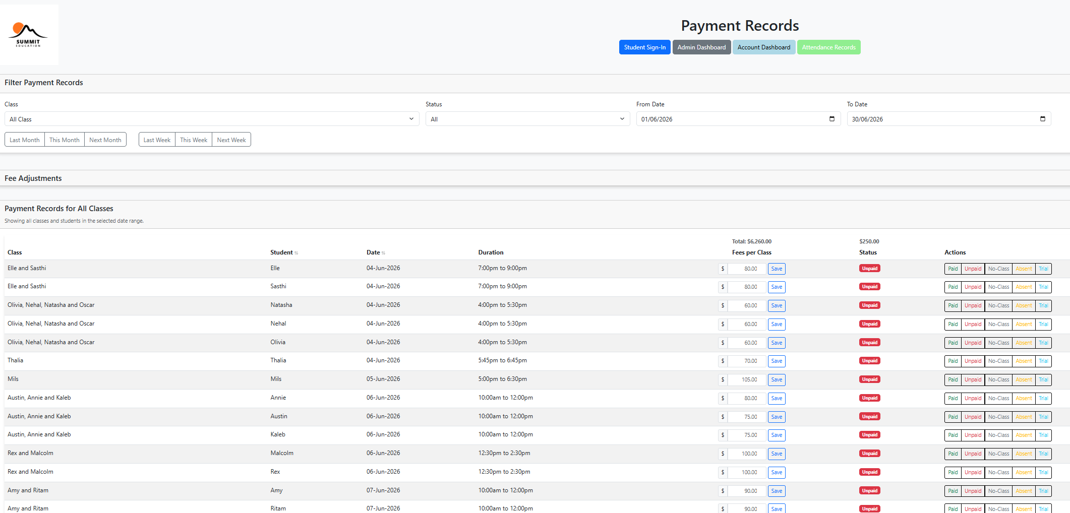 Payment Records Preview
